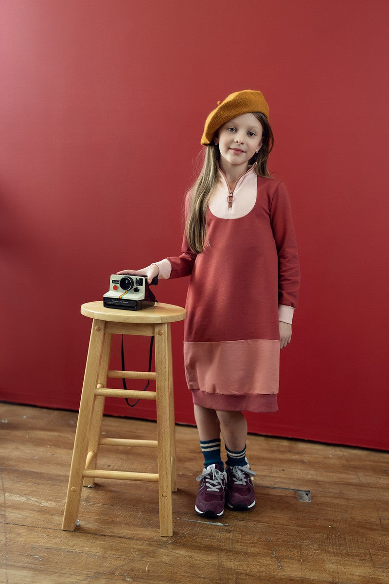 Rosewood Colorblock Zip Dress