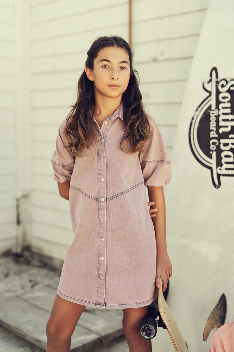 Purple Colored Denim Dress