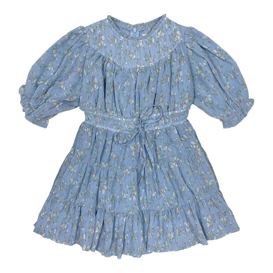 Blue Floral Crinkle Dress