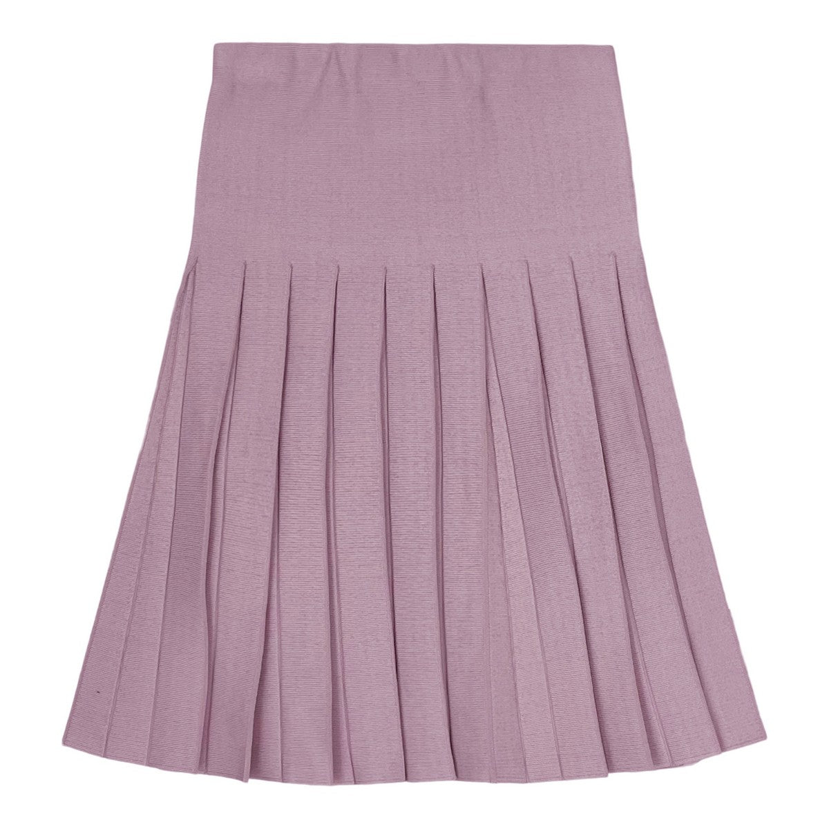 Mauve Pleated Skirt